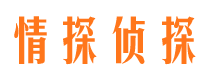 陇县市调查公司